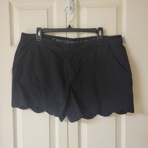 Canyon River Blues Size 16 Black Scalloped Shorts